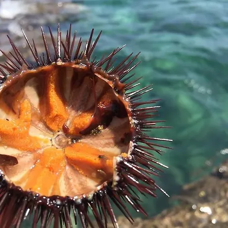 Casa Poesia 4* Torre San Giovanni