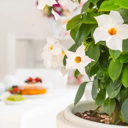 Casa Poesia Bed & Breakfast